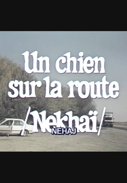Nehaj