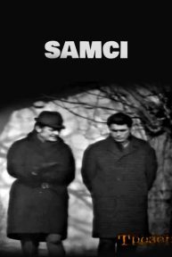Samci
